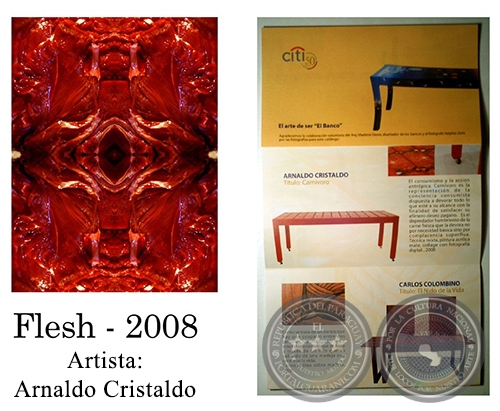 FLESH - Instalacin de Arnaldo Cristaldo - Ao 2008